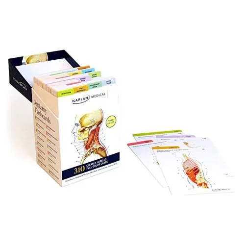 anatomy flashcards