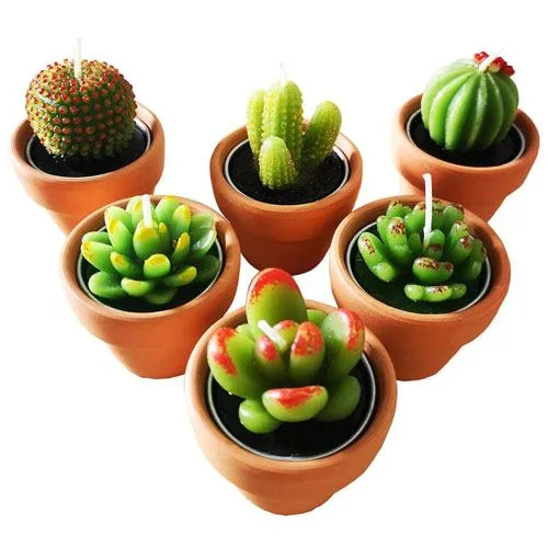 cactus tealight candles