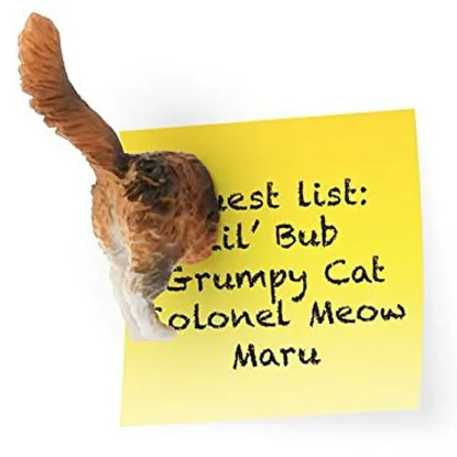 weird cat butt magnets