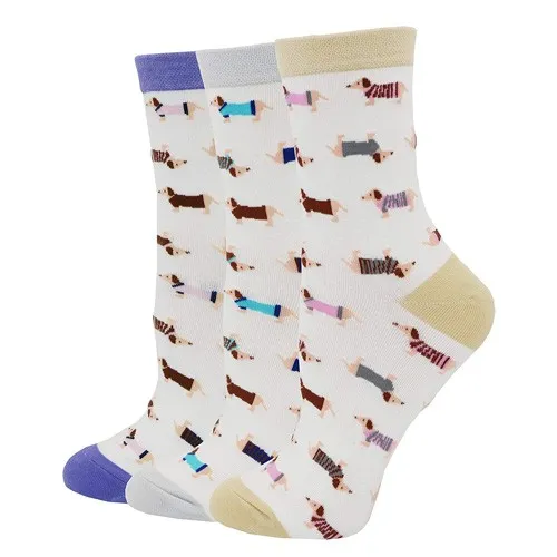 dog set socks