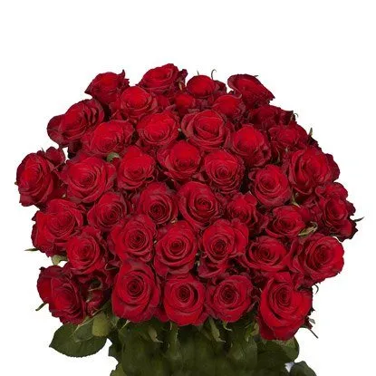 fresh cut roses gift