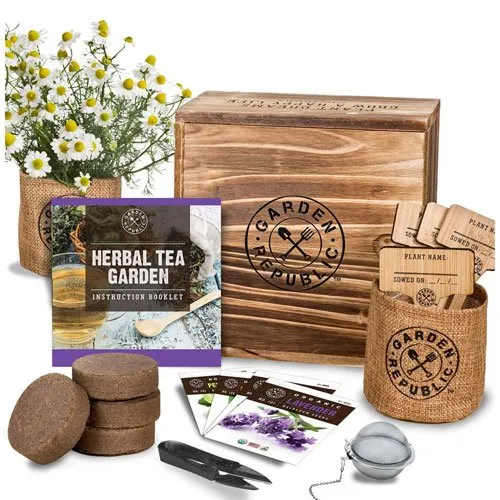 indoor herb garden starter kit