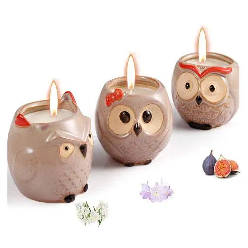 novelty owl candles set