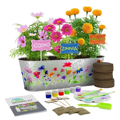 plant flower growing kit