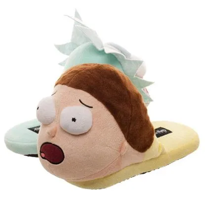 rick and morty slippers
