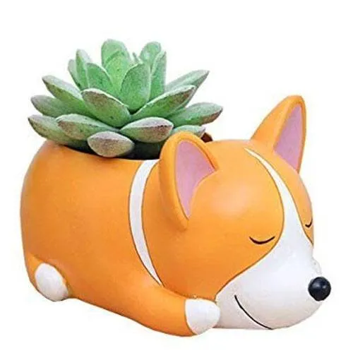 white elephant gift dog pot