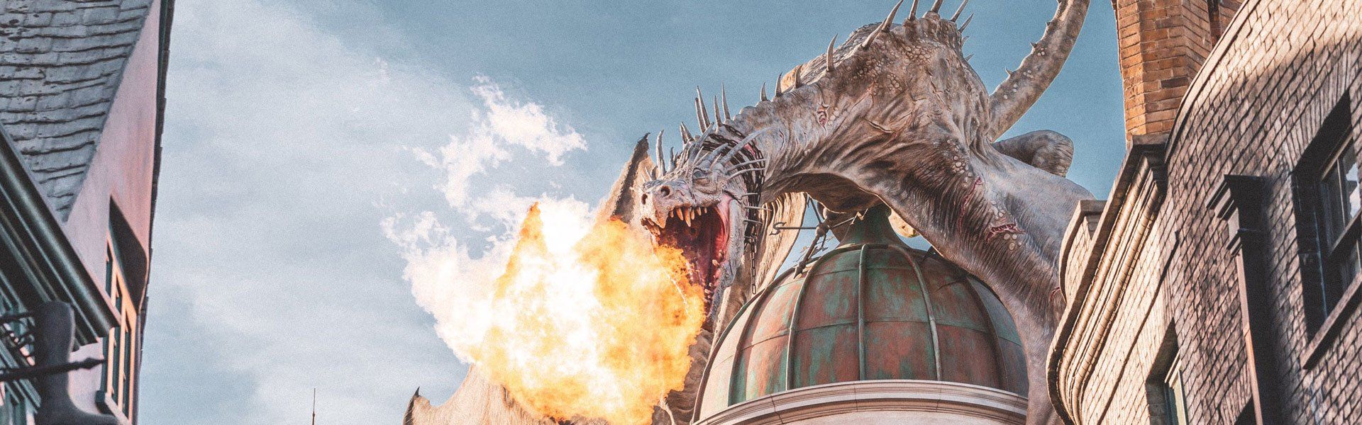 33 Unique Dragon Gifts for Dragon Lovers